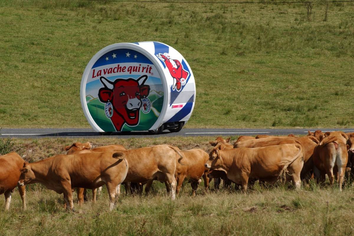 A big motorised box of La vache qui rit cheese glides down a road past a herd of cows, all of whom ignore it.