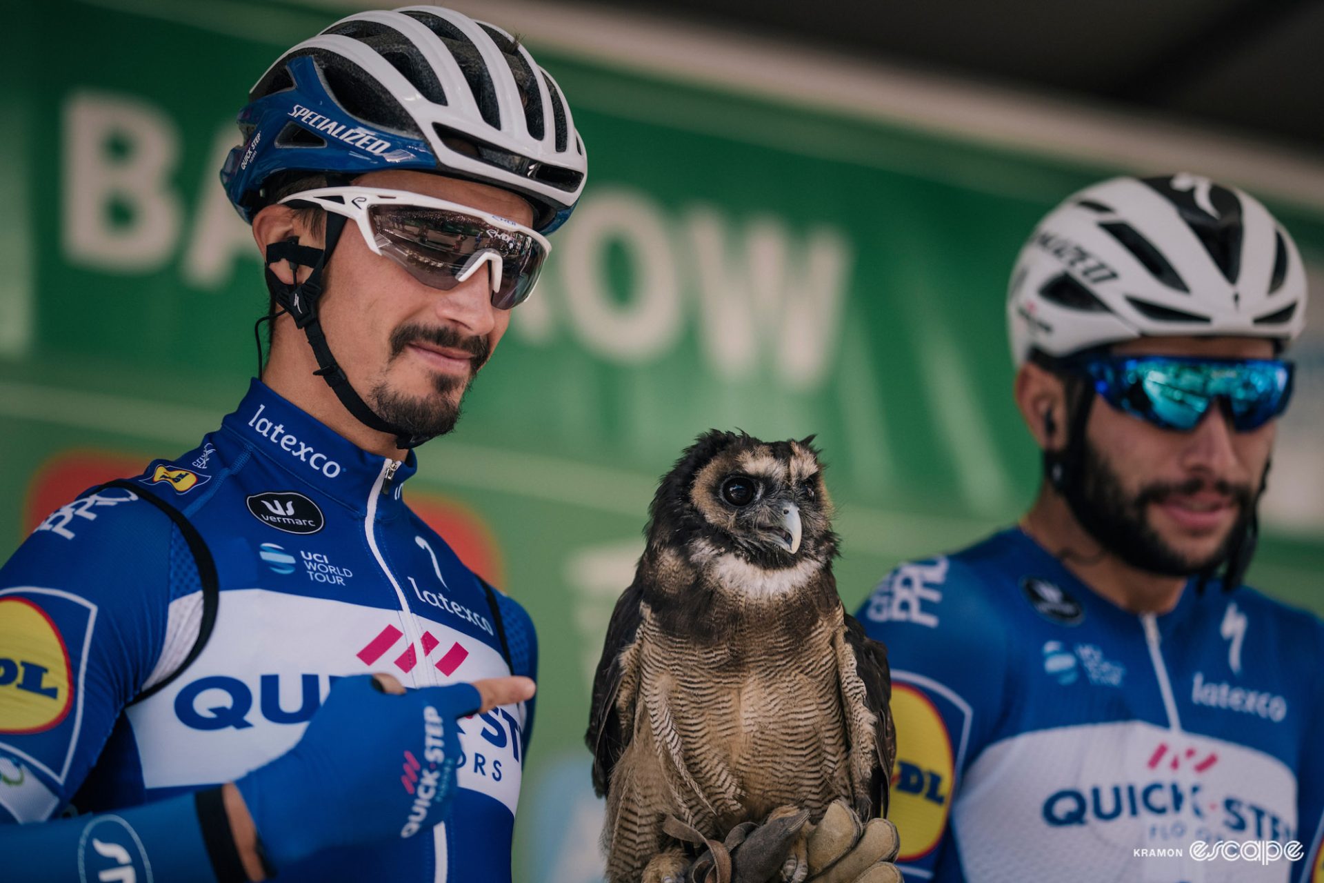 Julian Alaphilippe on a stage at the 2018 Tour of Britain holding a falcon and looking both pleased and a little bit nervous. He is pointing at it with his other hand. The bird looks nonplussed. 