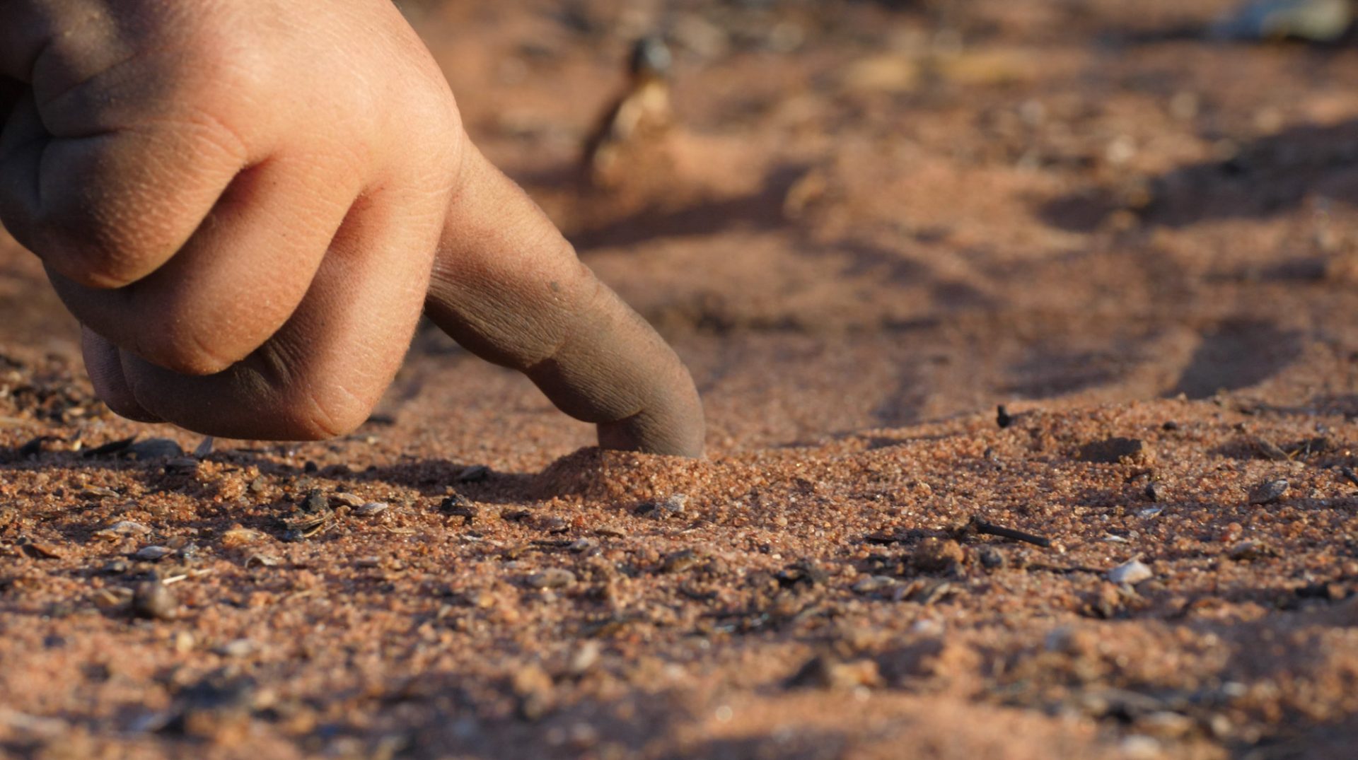 A small child's finger traces a line in desert sand. 