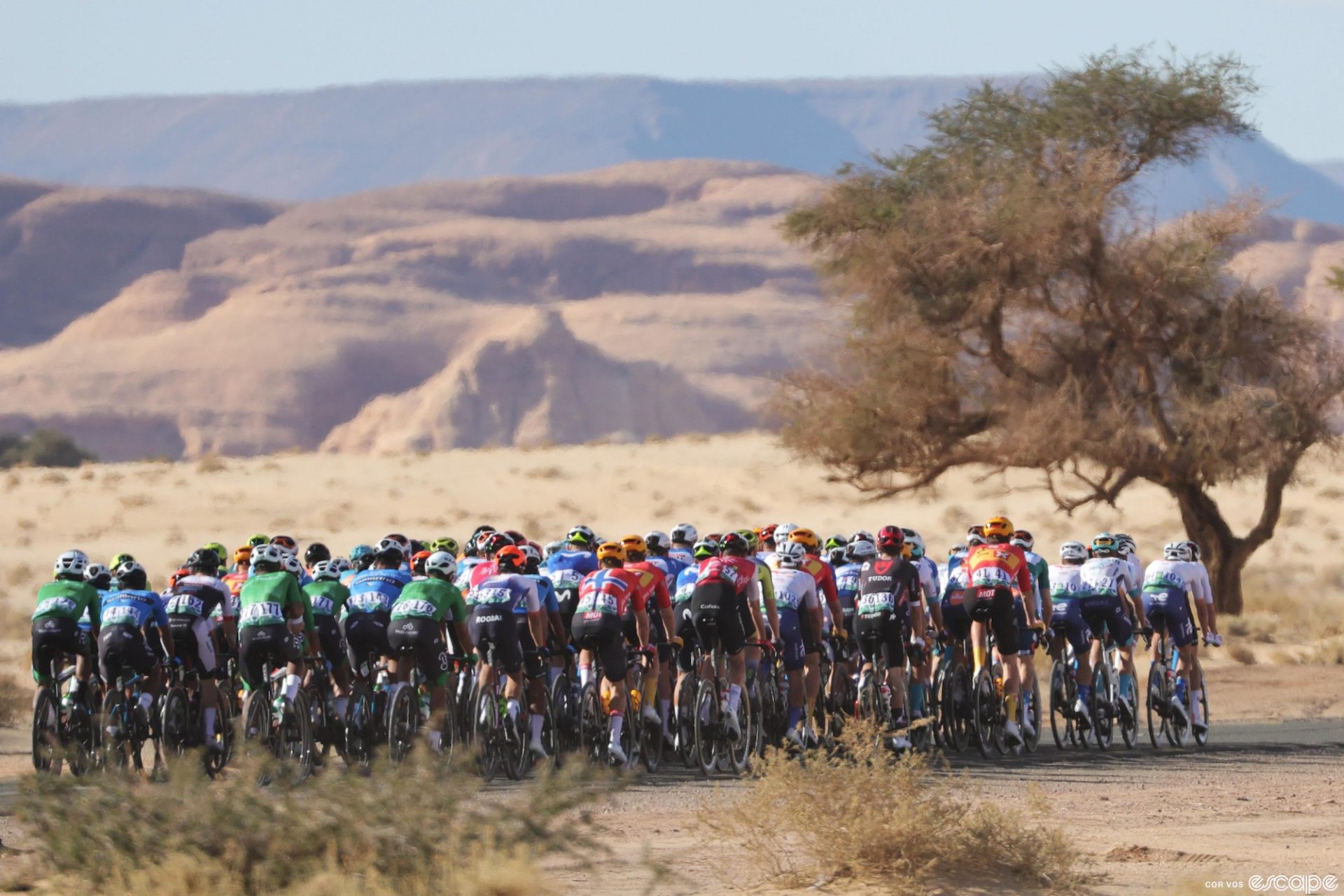 The peloton on stage 4 of the AlUla Tour.