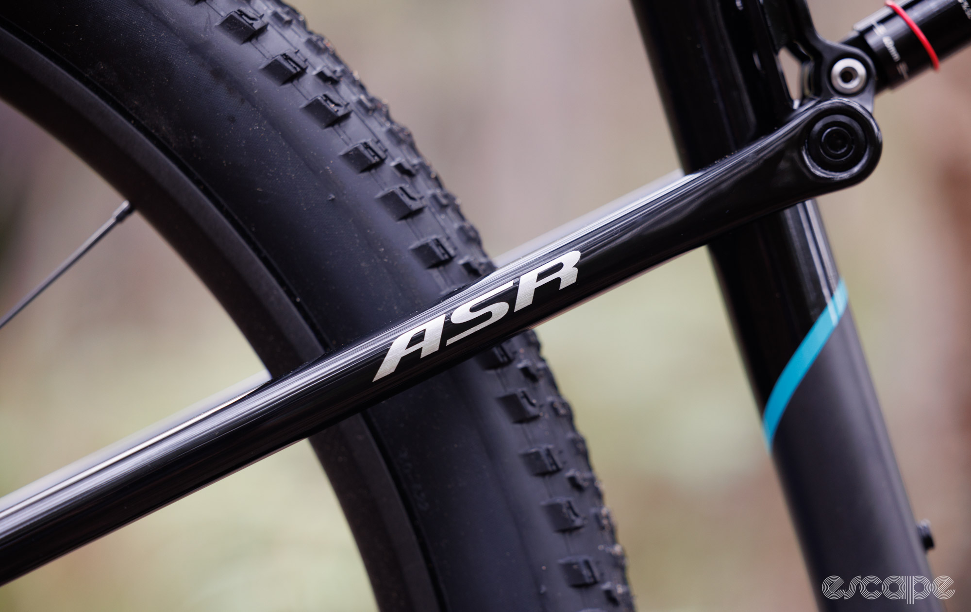 Chainstay and ASR logo in focus. 