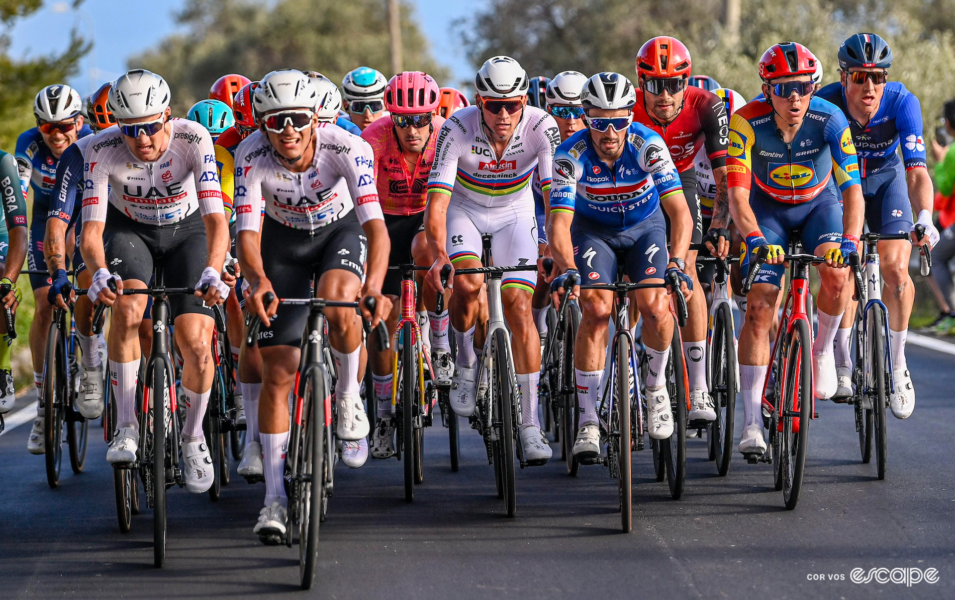 The peloton during Milan-San Remo 2024.