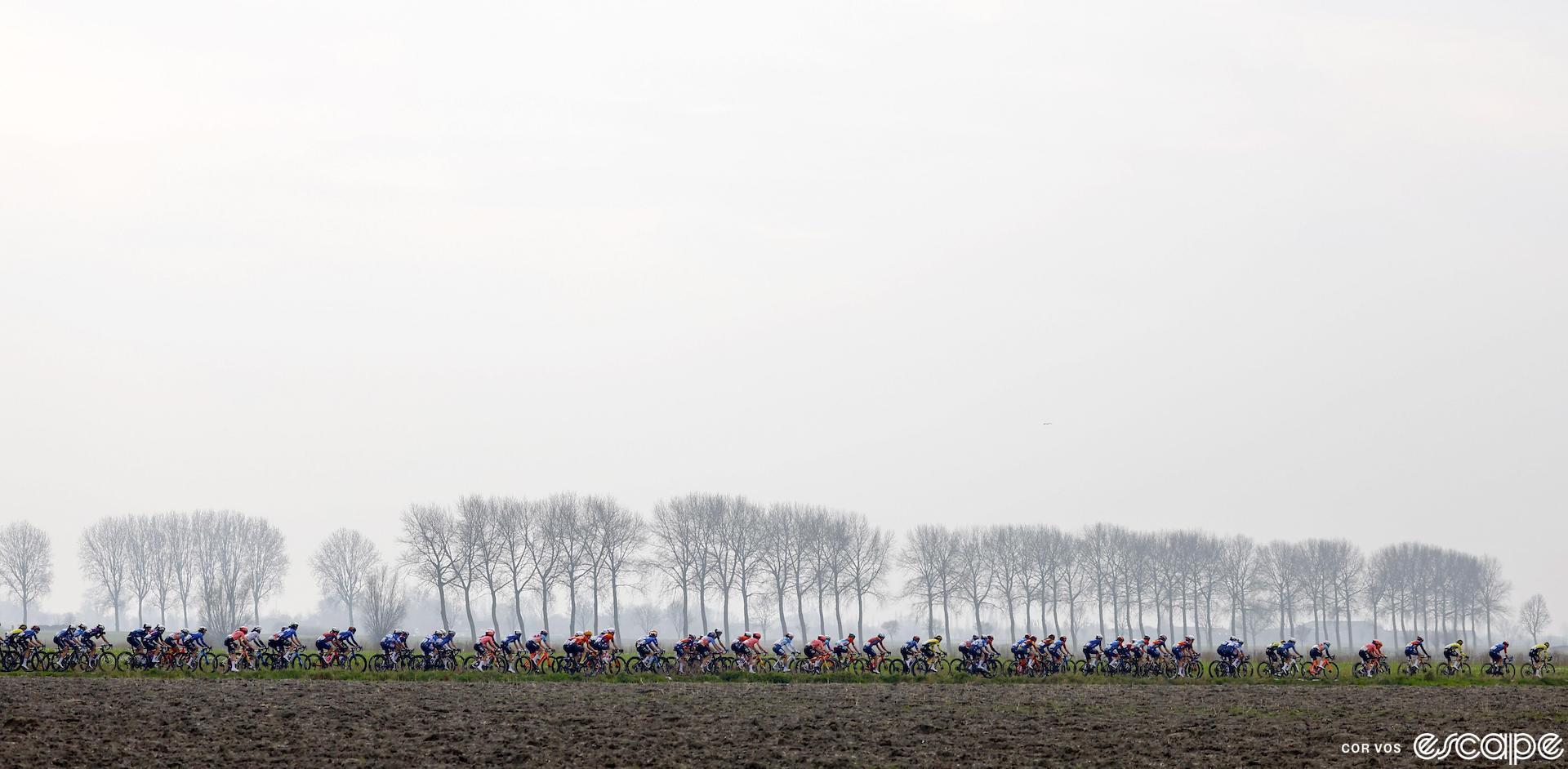 A long line of riders passes by a bank of leafless trees in Brugge-De Panne. The sky is a shadowy grey-white as mist burns off under a hazy sun.