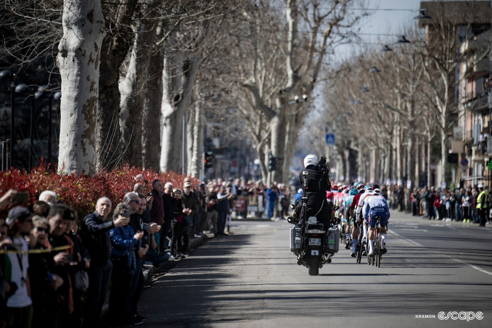 The back of the peloton during Milan-San Remo 2024.