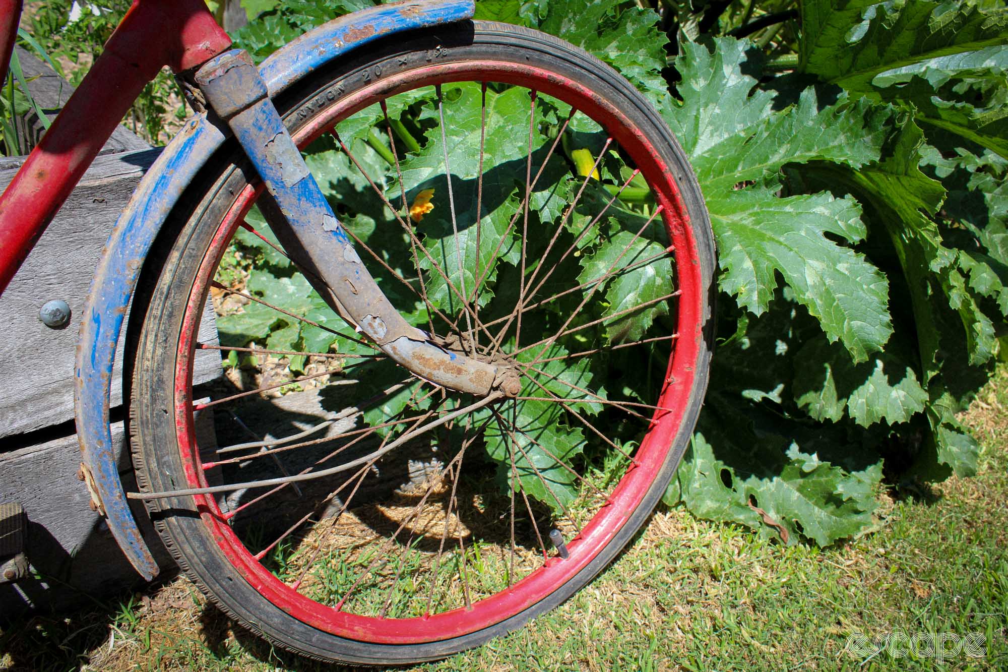 Detail shot of a well-worn bicycle's front wheel. 