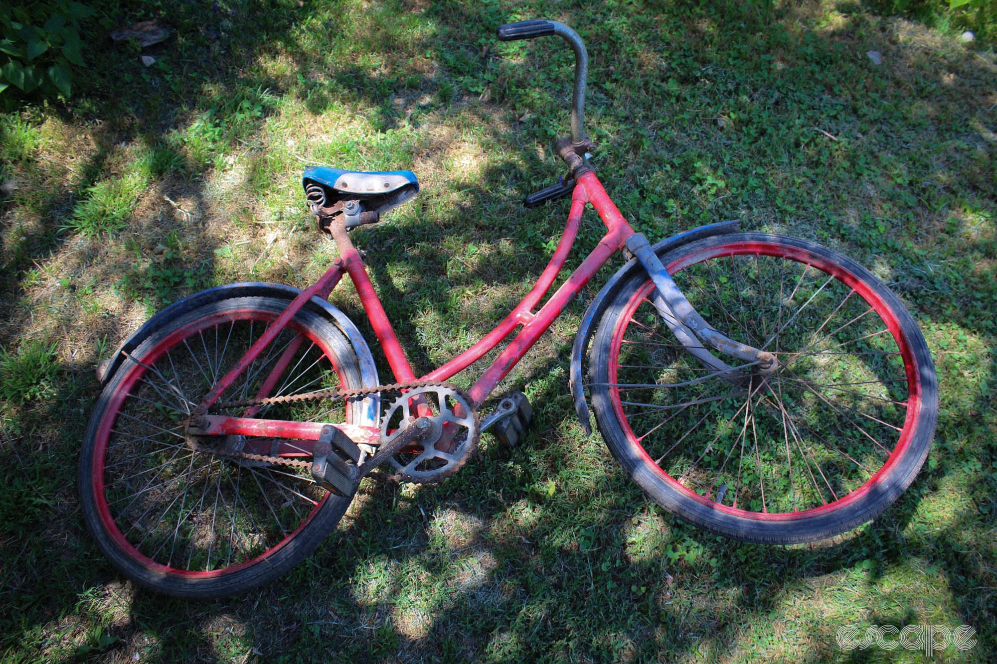 The old red bike lies on grass, dappled in shade. 