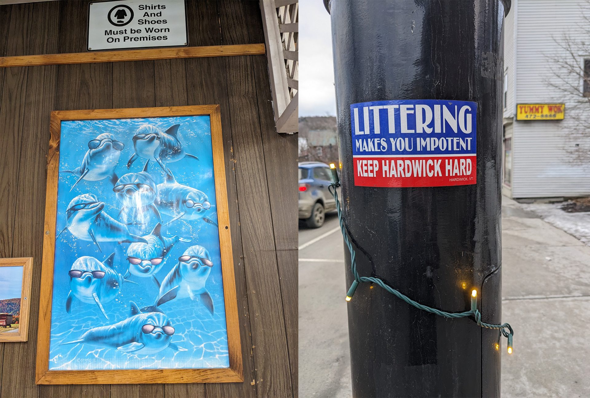 Dolphin photo and littering sticker in Hardwick, VT.