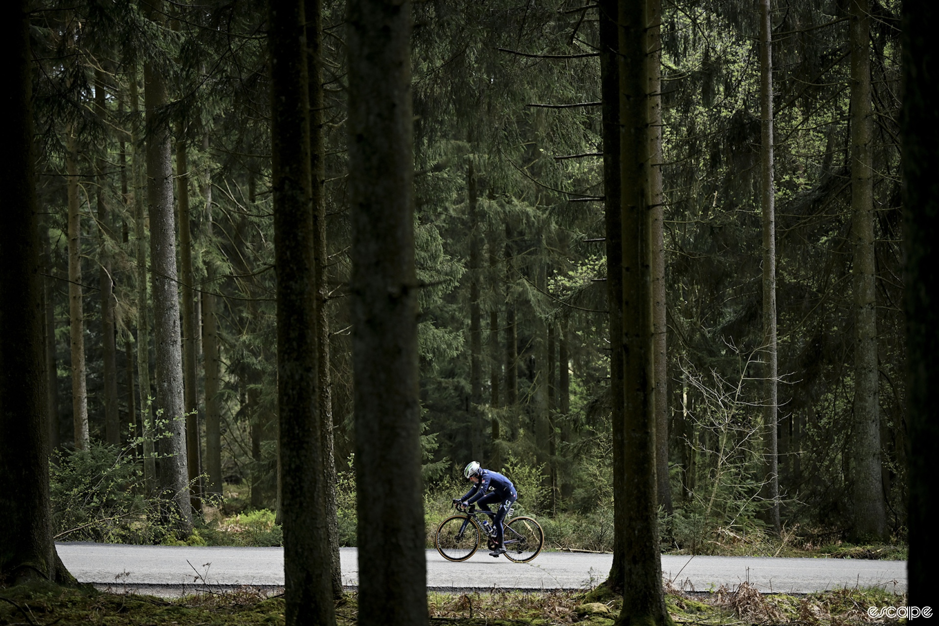 A woman rides her bike through a forest 