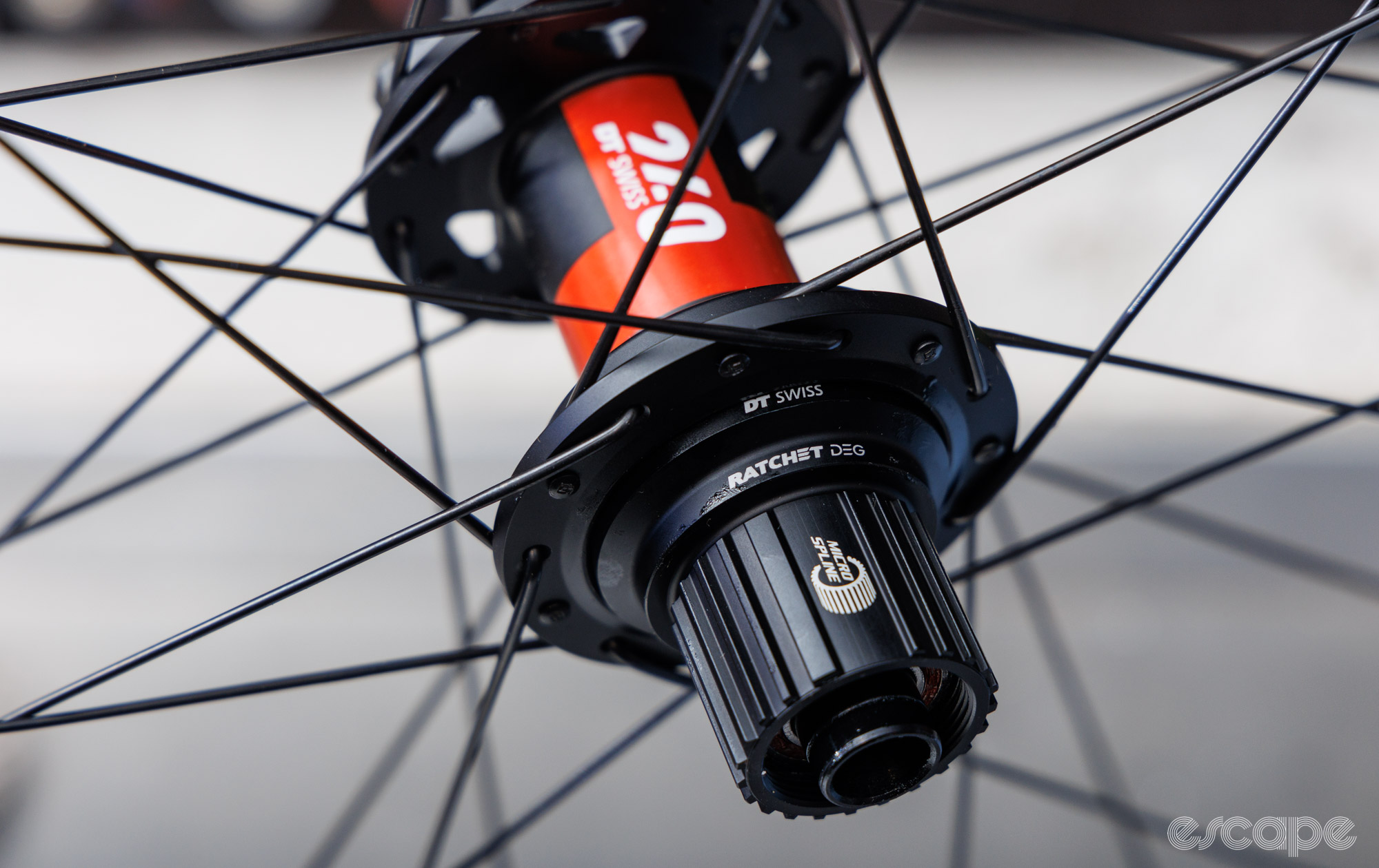 A close up of the Microspline driver on the DT Swiss 240 DEG rear hub. 