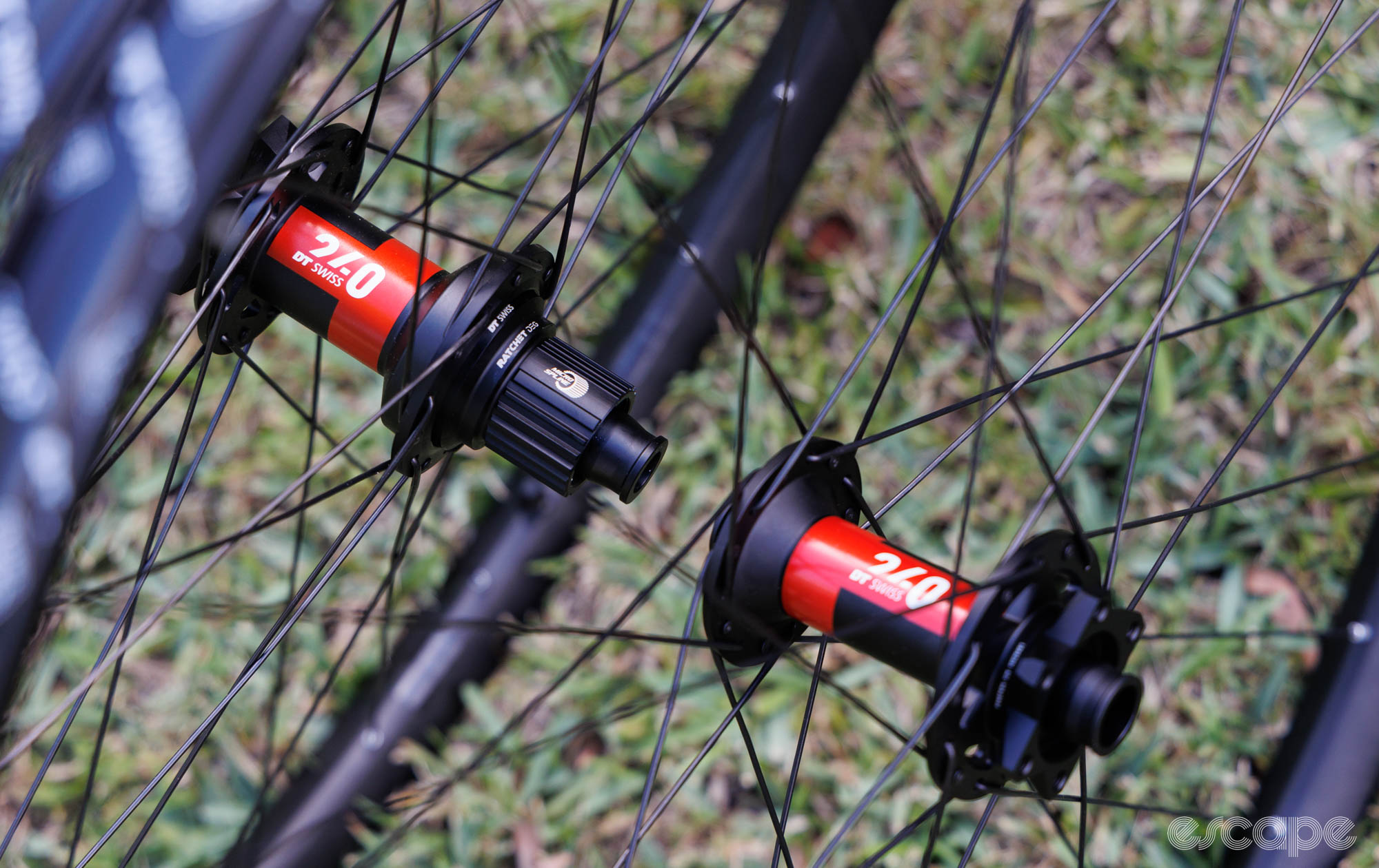 A pair of new DT Swiss 240 DEG hubs laced into wheels on a grass background. 