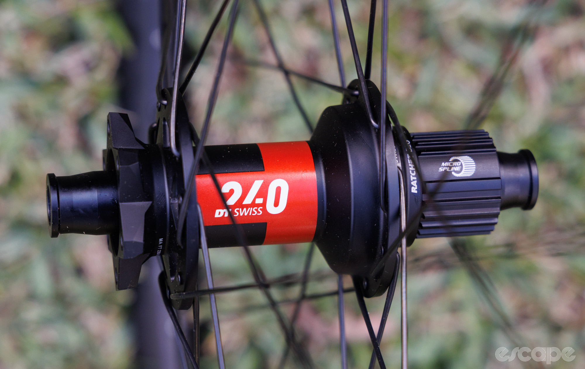 A close up of the DT Swiss 240 DEG rear hub laced into a wheel. 