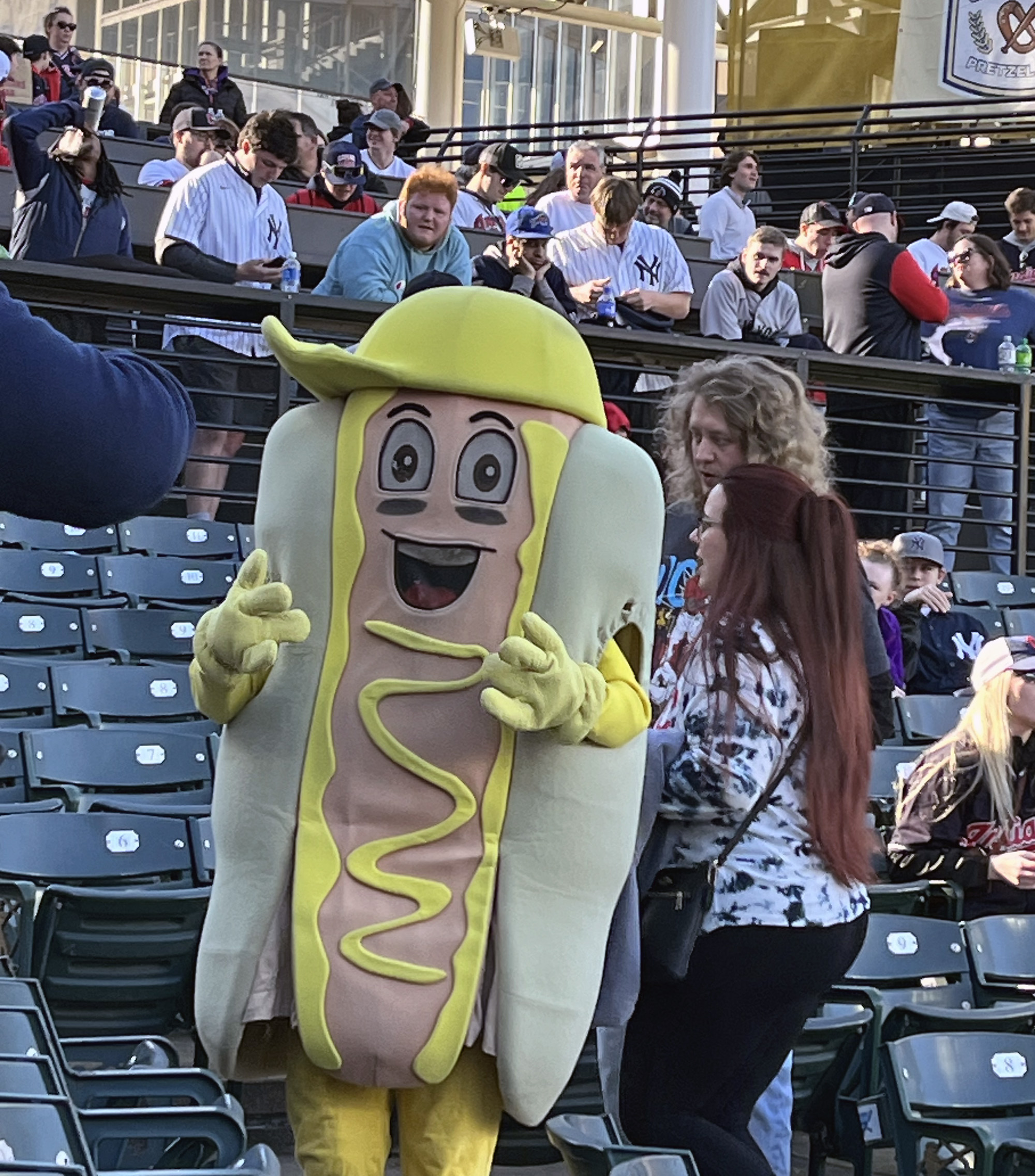 A man in a hot dog suit attends a baseball game.