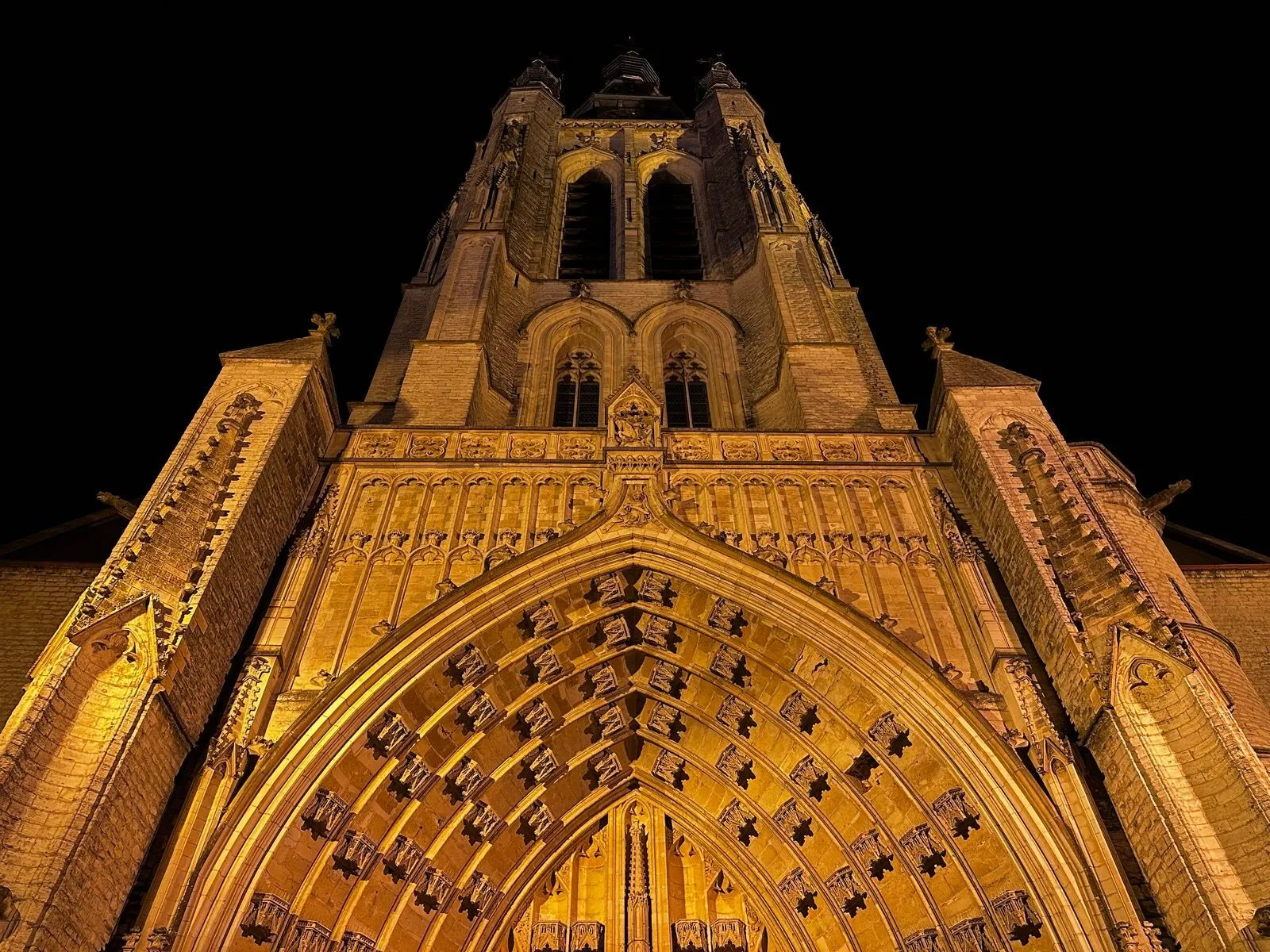 A gothic cathedral illuminated at night 