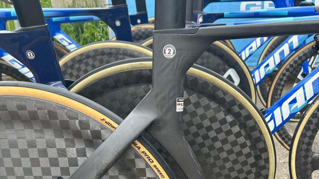 The image shows the seat tube on Luke Plapp's new Giant Trinity TT bike.