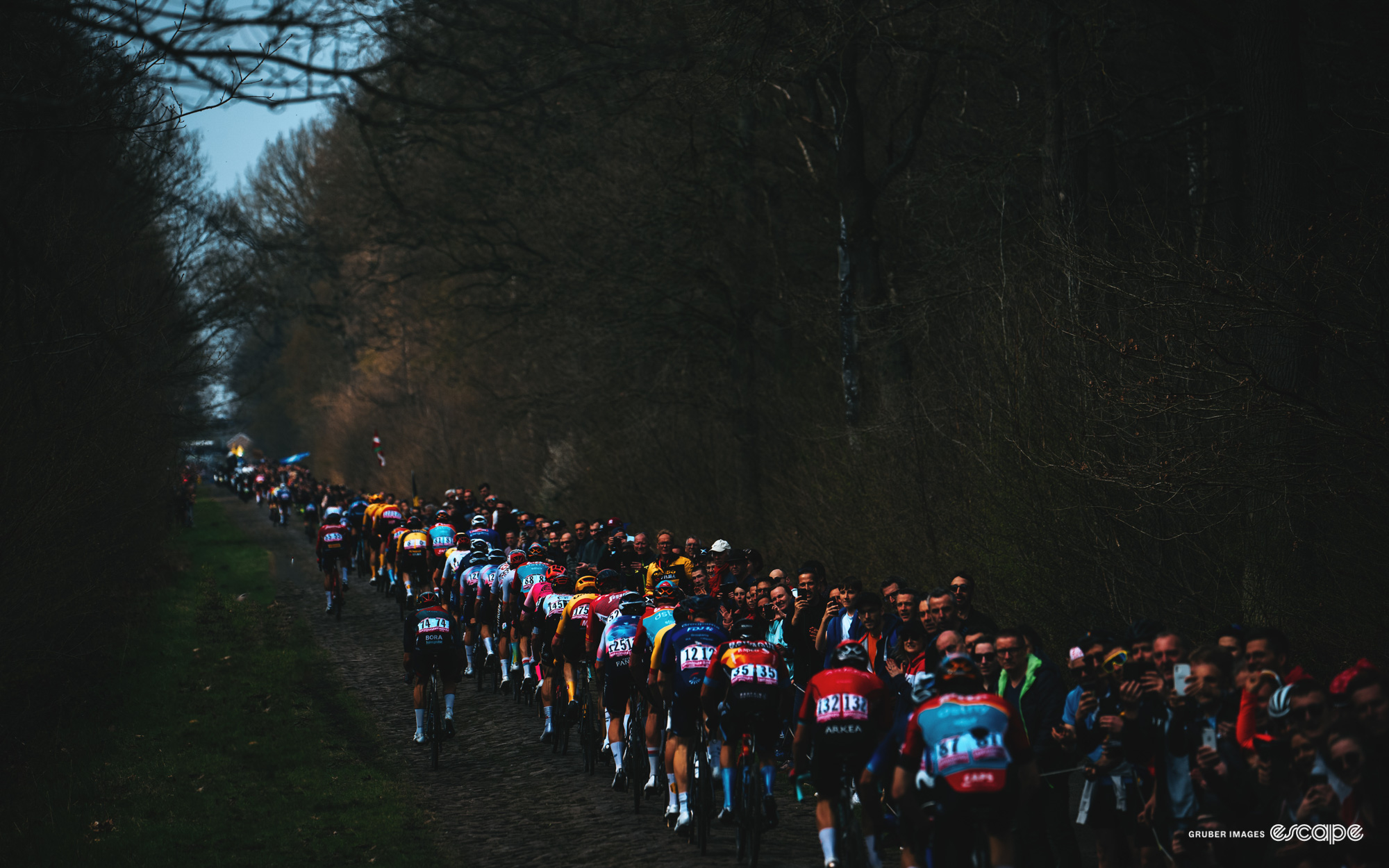 Riders tackle the Arenberg at Paris-Roubaix.