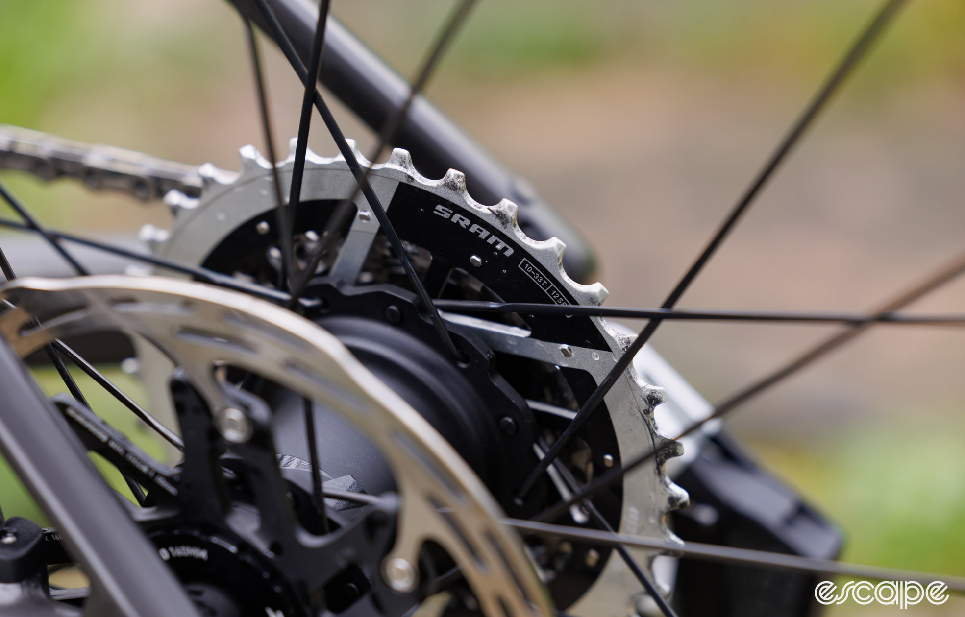 A shot of the rear of the SRAM Red AXS cassette. 