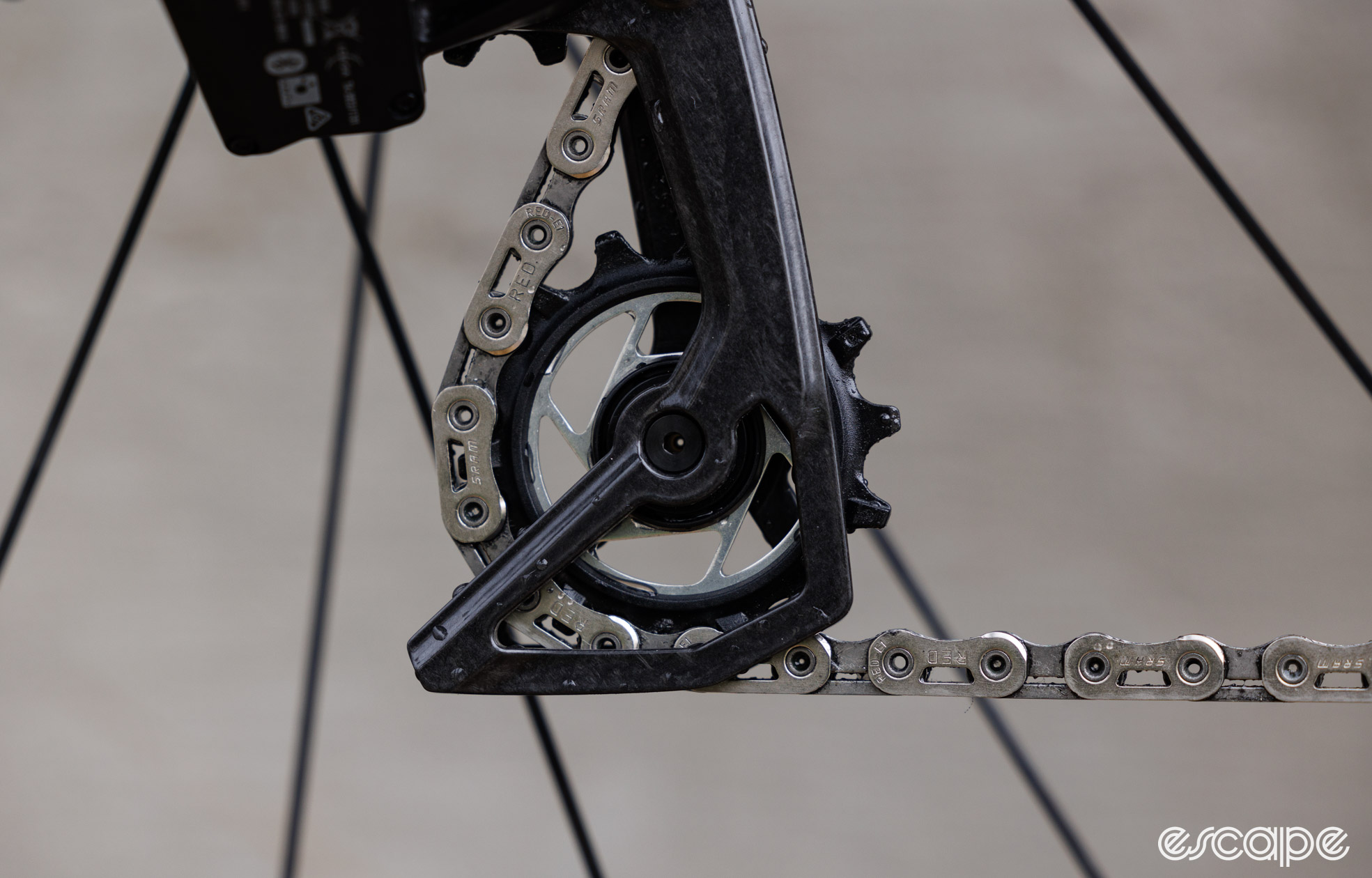Close up of the SRAM Red AXS rear derailleur pulley wheel. A silver centre with a plastic outer toothed section. 