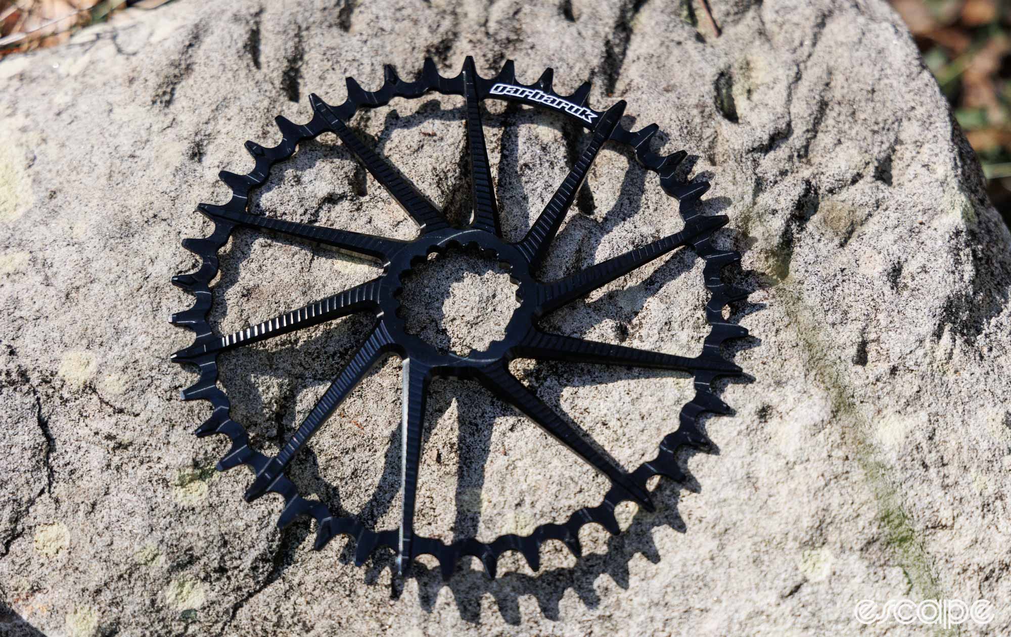A whole view of the Garbaruk 42T chainring. 