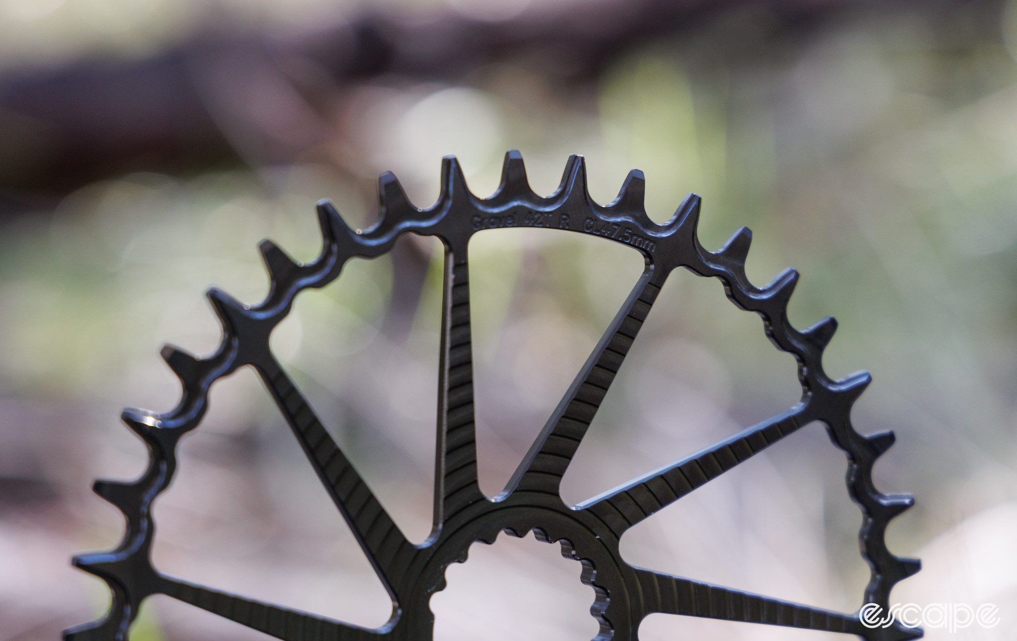 A close look at the Garbaruk chainring. 