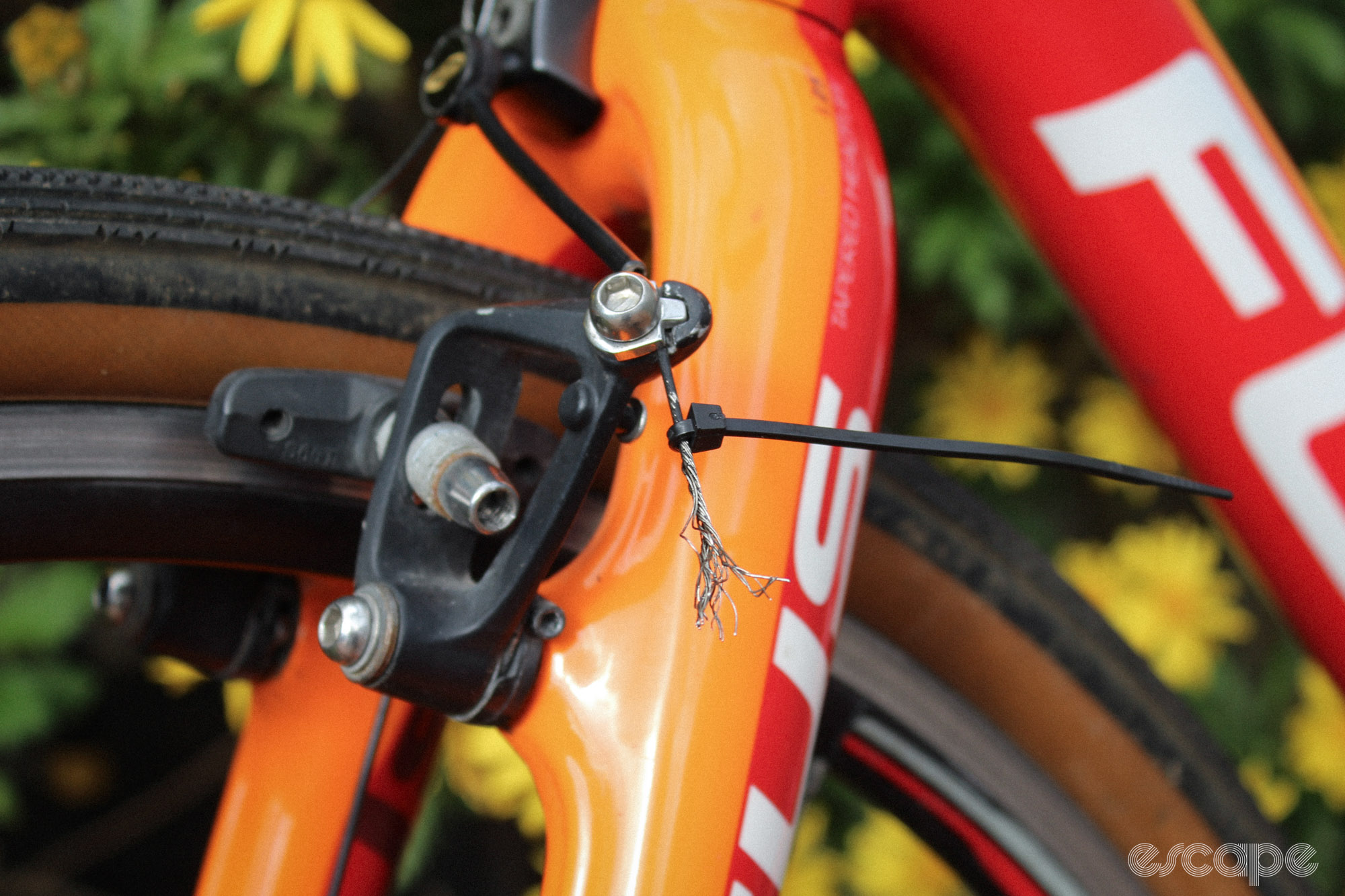 Close-up image of frayed brake cable on cantilever brakes, with cable-tie positioned above the fray.