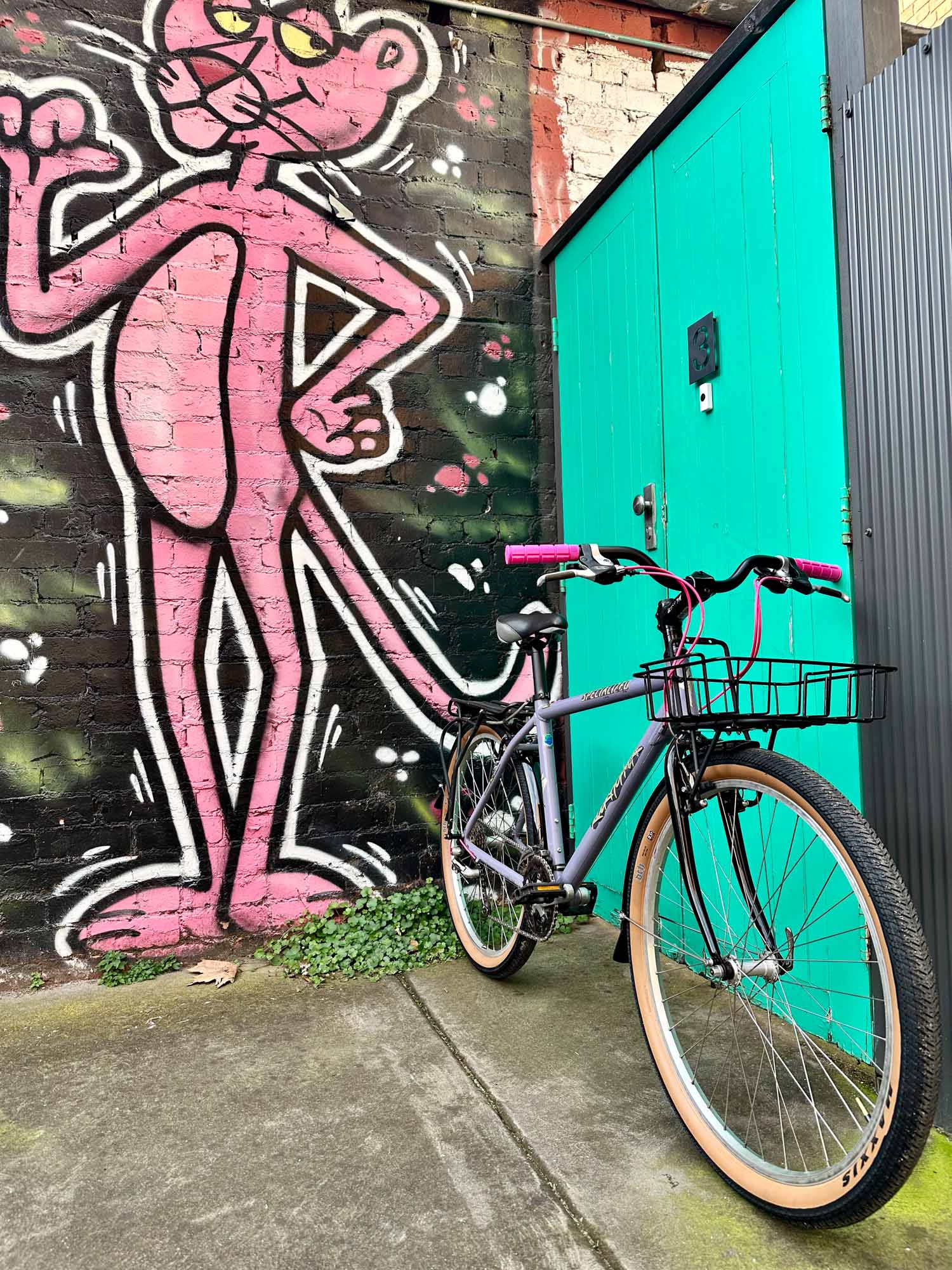 A purple framed Specialized Rockhopper leans against a wall in a Melbourne back alley. It has a basket on the front, a rack on the back, pink grips and pink cable outers. 