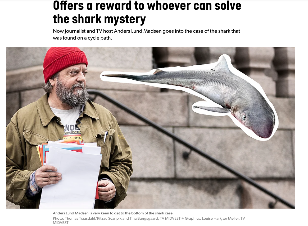 Screenshot of news post, showing a bearded Anders Lund Madsen wearing a red beanie, looking enigmatically into middle distance, where a photoshopped image of the dead bike path shark hovers in mid air. 