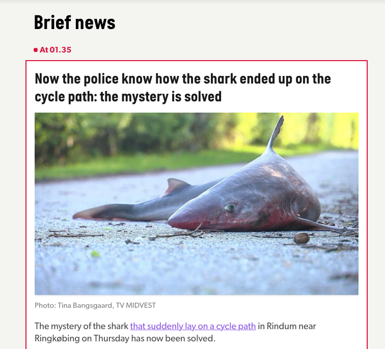Screenshot of news post showing the dead bike path shark and the headline that "the mystery is solved". 