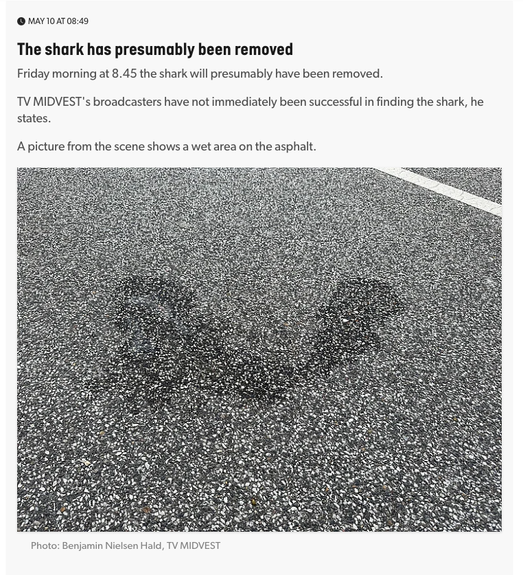 Screenshot: local news report reading 'The shark has presumably been removed' and 'a picture from the scene shows a wet area on the asphalt'. There is, as you'd imagine, a picture of a wet area on the asphalt.