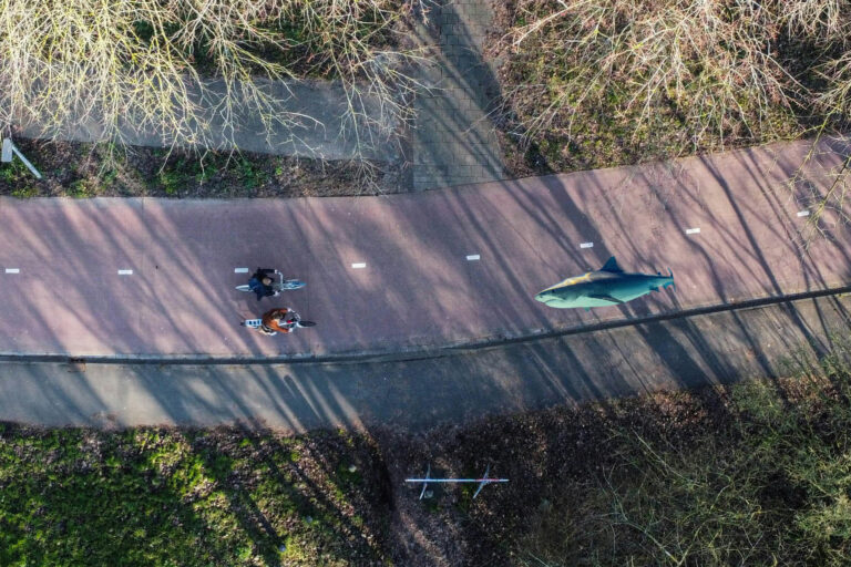 Aerial photo of a shark swimming down a bike path toward two people cycling bikes side by side. It is obviously not a real picture.