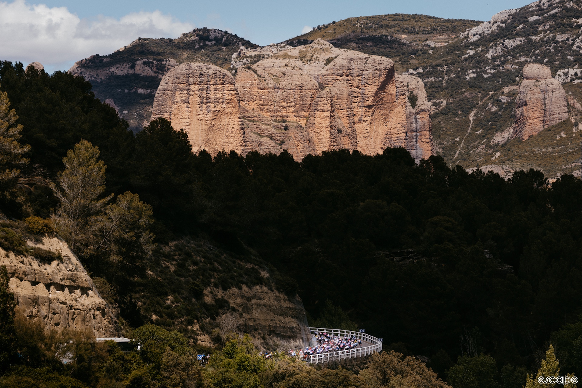 The peloton rides through a scenic landscape.