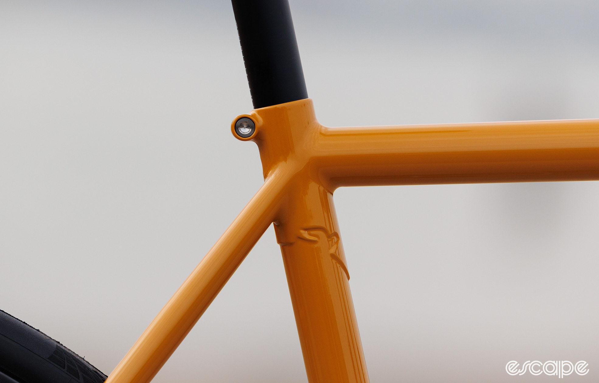 Close up of the seat tube detail on the Lost Workshop frame. 