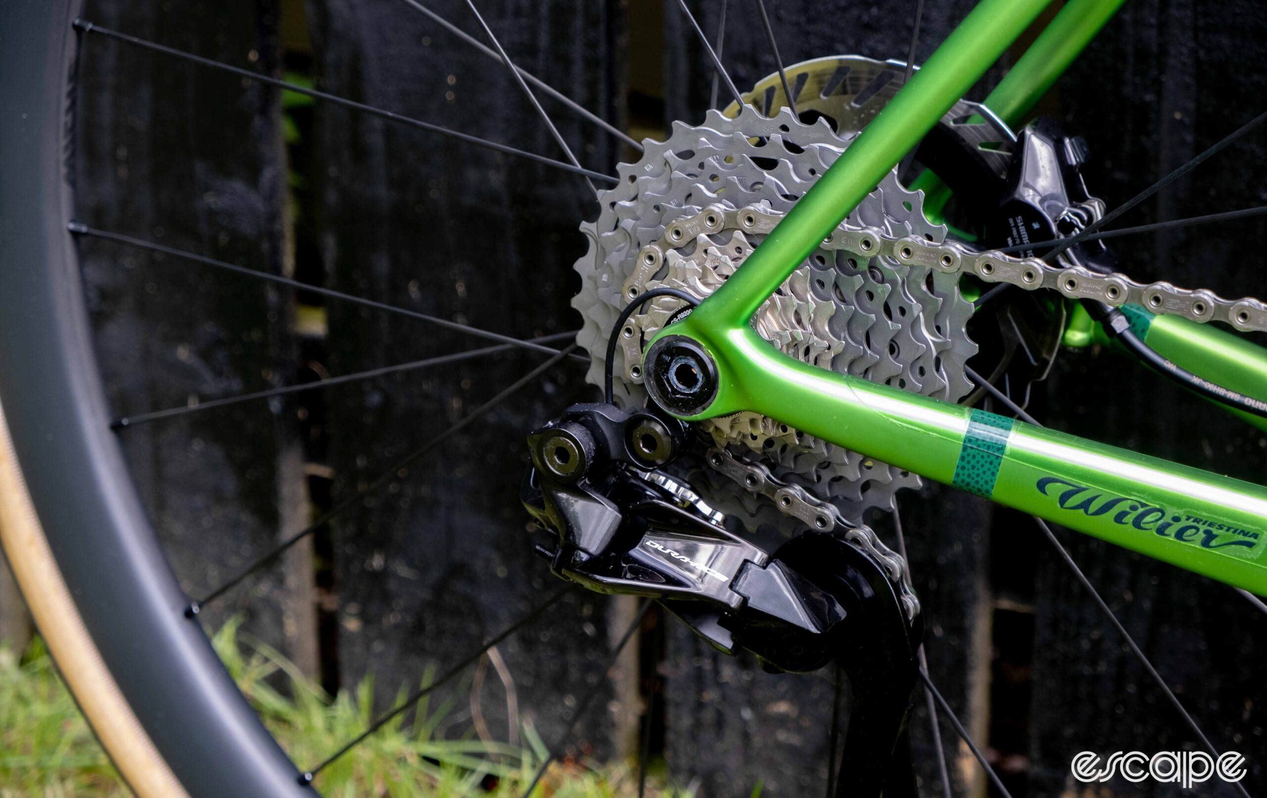 The image shows the derailleur hanger and drop out from the front.