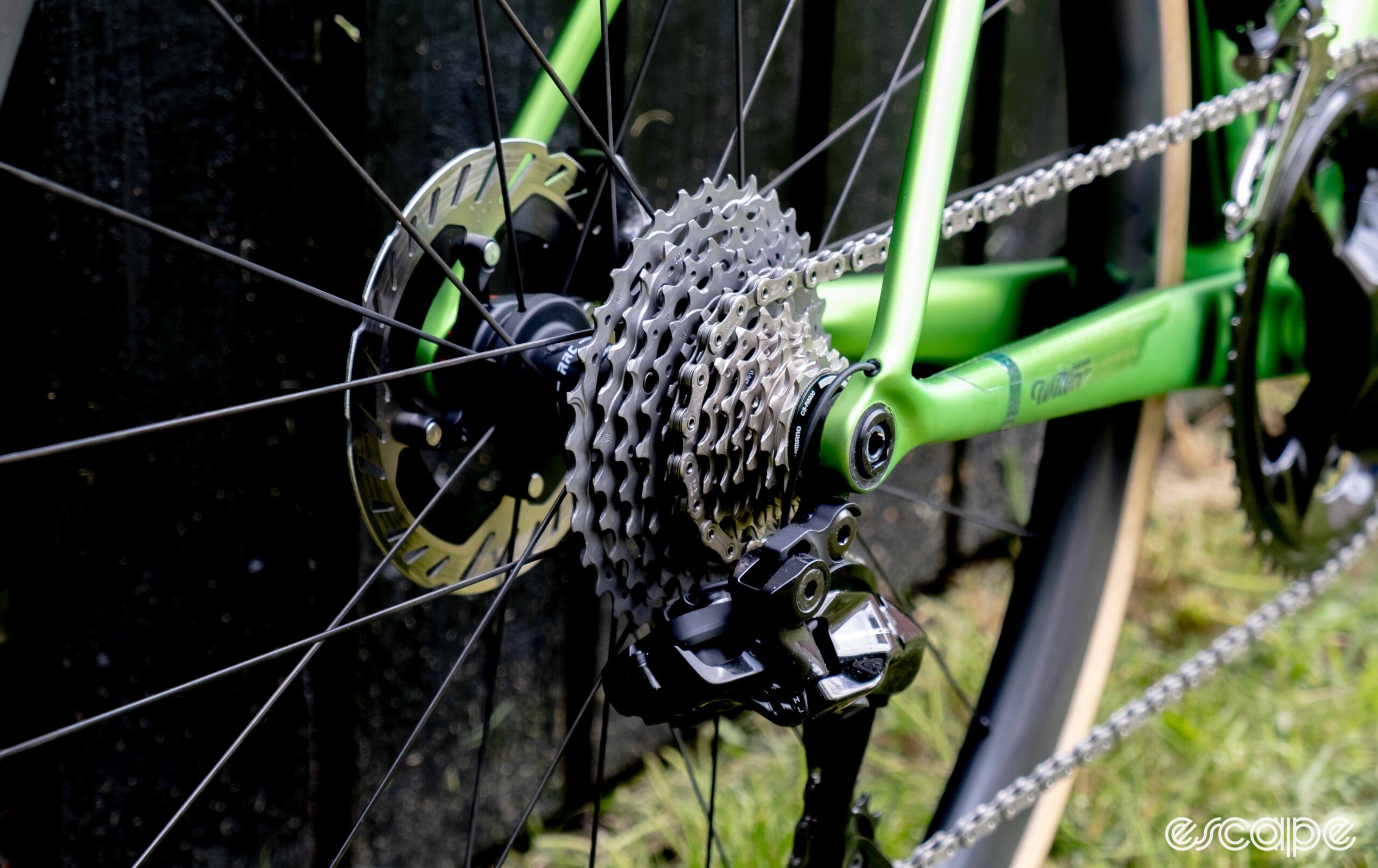 The image shows the derailleur hanger and drop out from the rear.